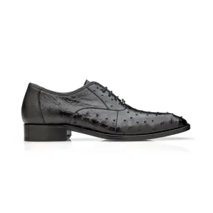 Belvedere Orlando in Black Genuine Ostrich Quill Oxfords