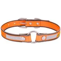 Browning Performance Large Dog Collar